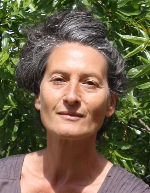 Stéphanie solerieu